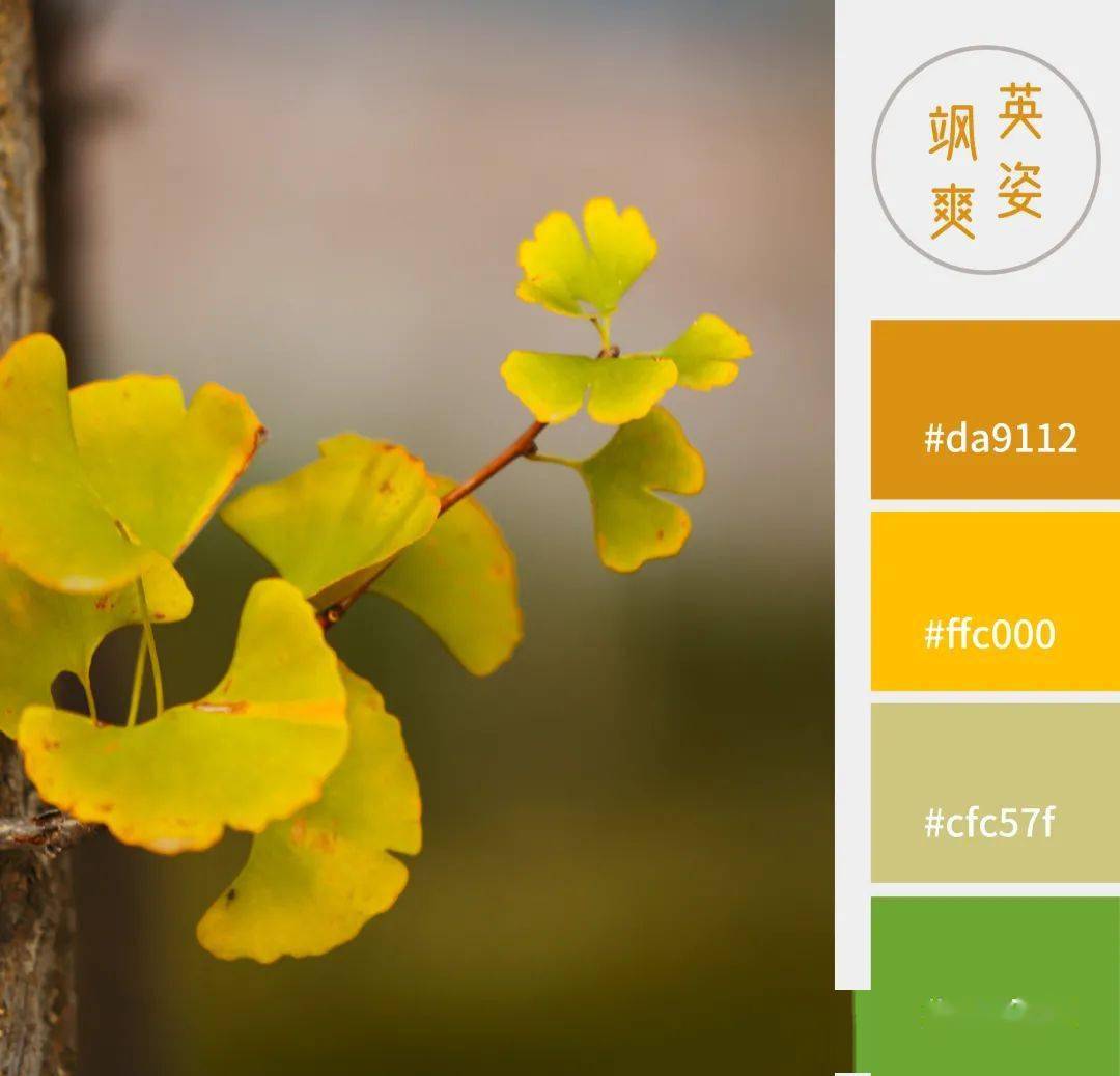 快收藏秋天最高级的配色