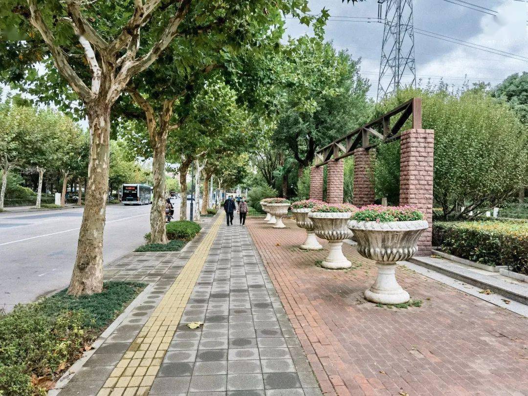 真光路景观完成升级可看可行有惊喜