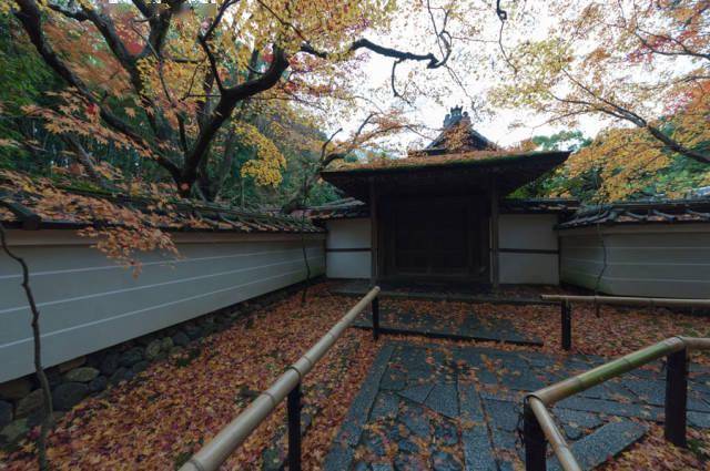 秋之韵 · 大德寺高桐院