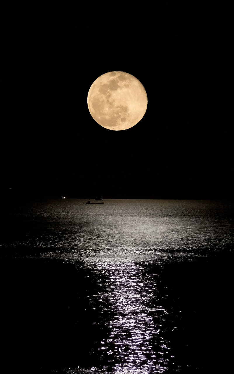 深秋的美月亮图片图片