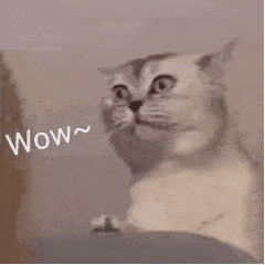 电影|优酷回应新综艺《鱿鱼的胜利》;林心如新剧首曝预告