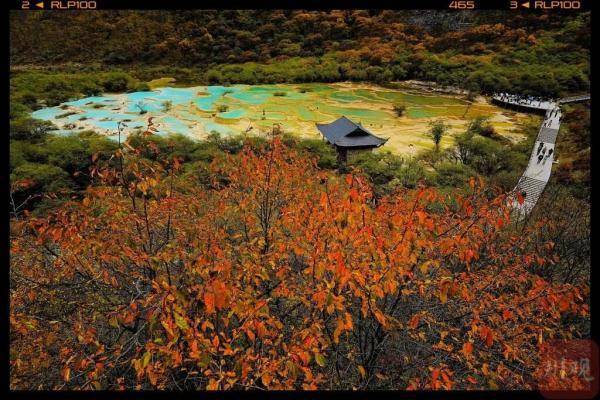 赏红叶，看雪景，四川最美秋天来袭→