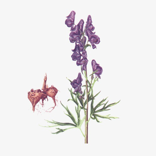 桌上京墨犹在,千张纸,诉衷肠.君当归,连翘首,泪湿薄荷衫.