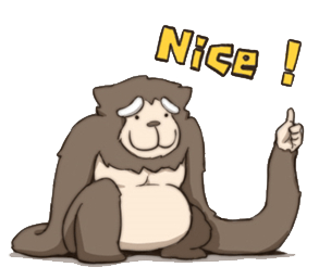 国际长臂猿日能唱歌会变色的中国猿你了解多少