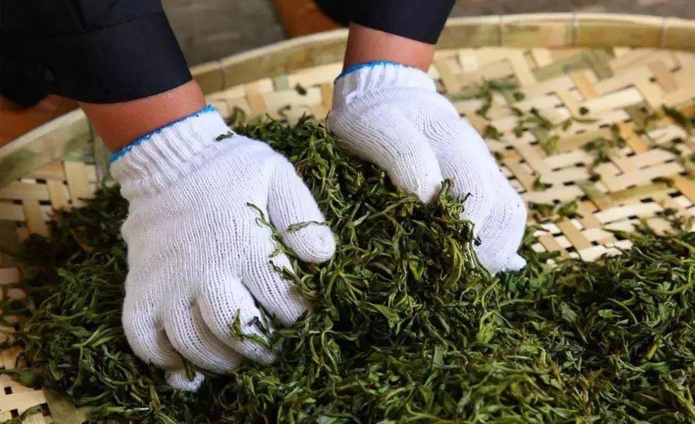 茶叶"耐泡度"与品质的关系