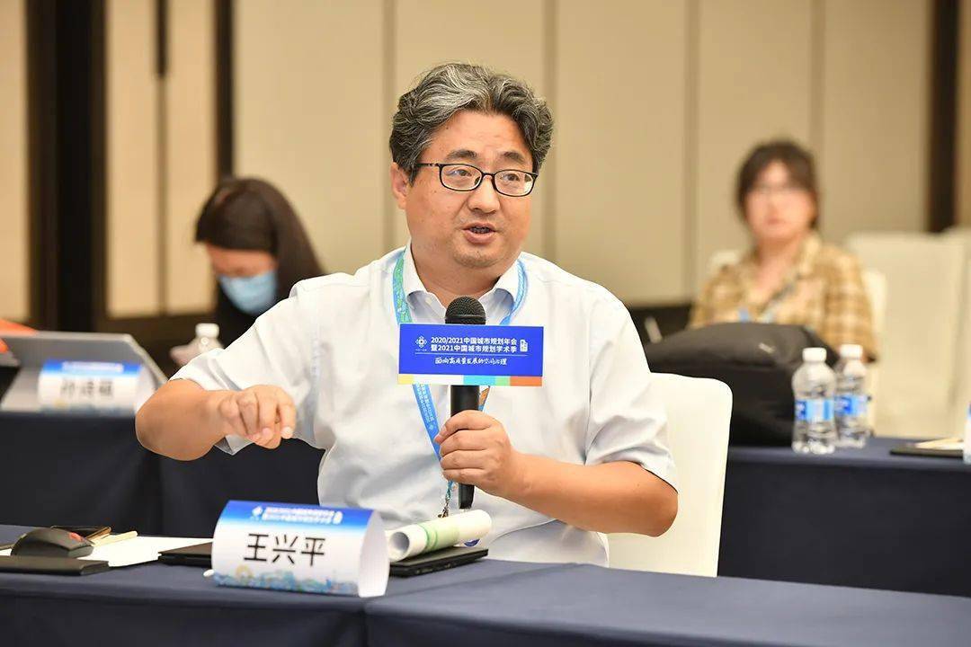 王兴平学会城市规划历史与理论学委会副秘书长东南大学建筑学院教授王