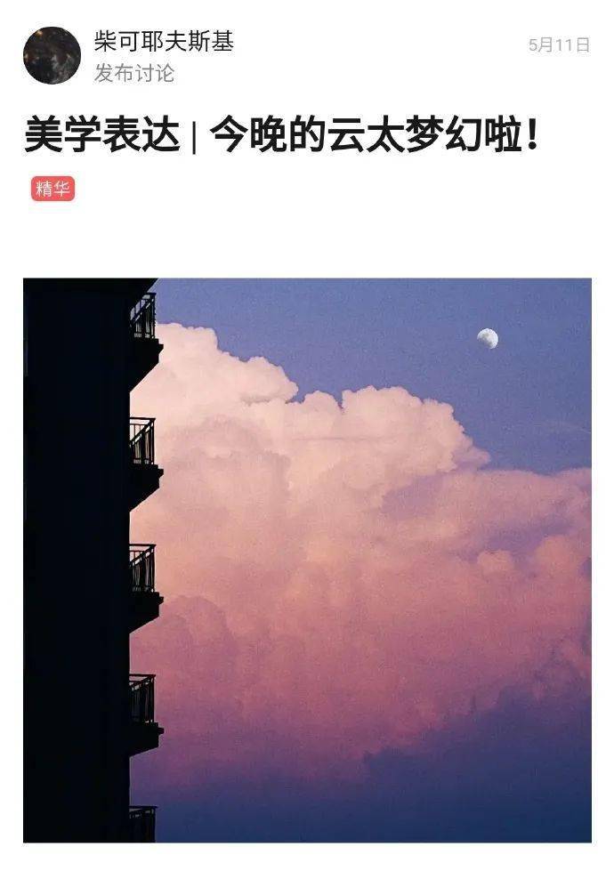 你无意中拍过最惊艳的照片网友评论真的绝了