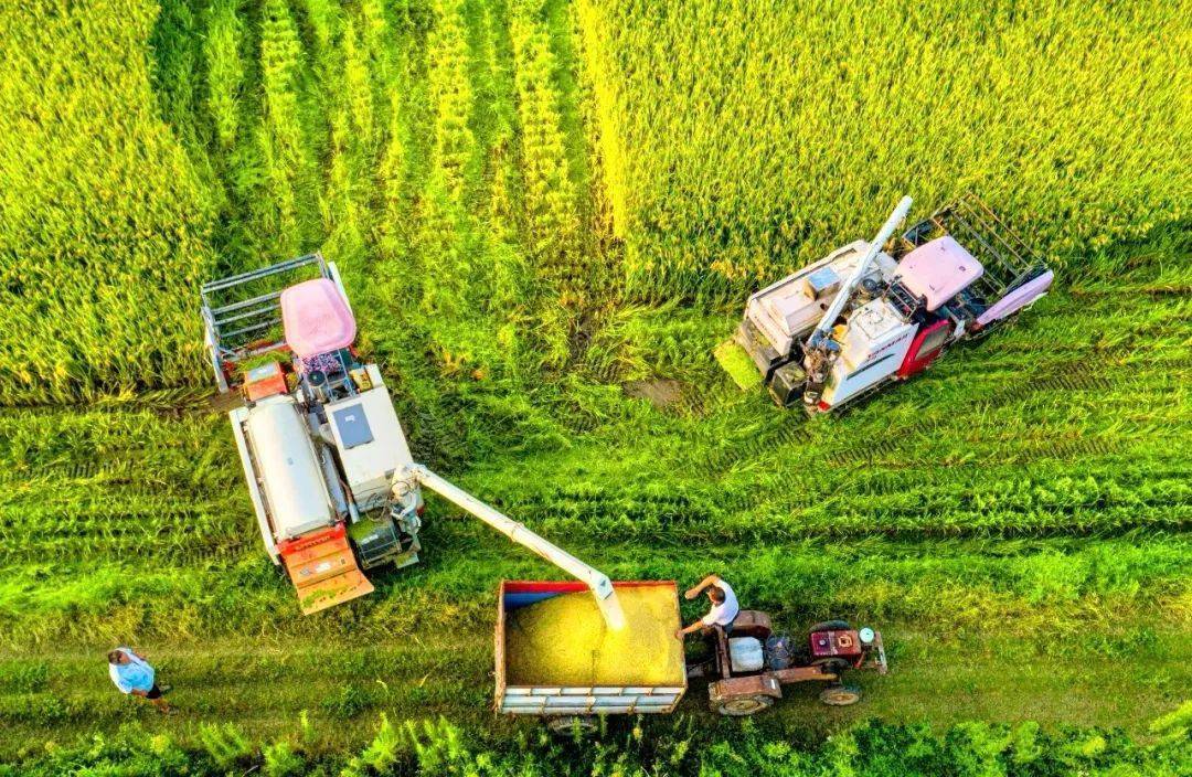 安徽省农业农村厅发布关于加快推进农业社会化服务的实施意见