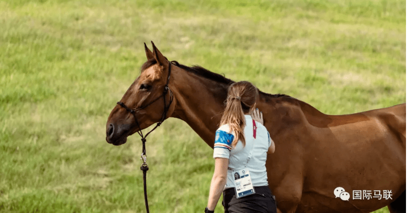 头条如何建立人马之间的交流一正面增强和负面增强