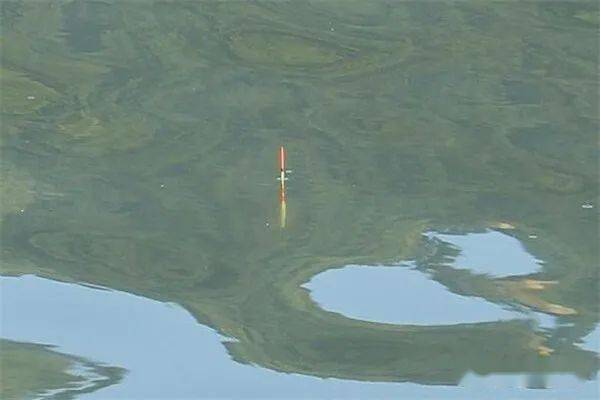 咋样调漂才能调得最准确 b05c3c8495e34e97a79535e38bb6fc9a.jpeg