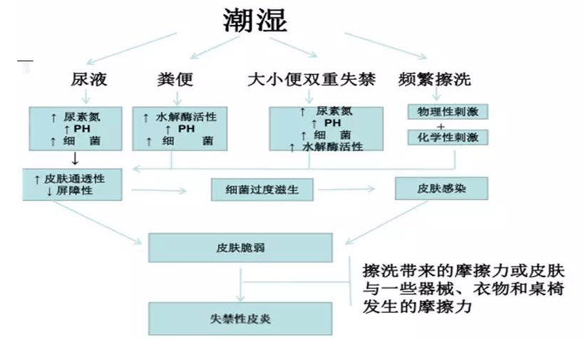 失禁相关性皮炎失禁护理三部曲