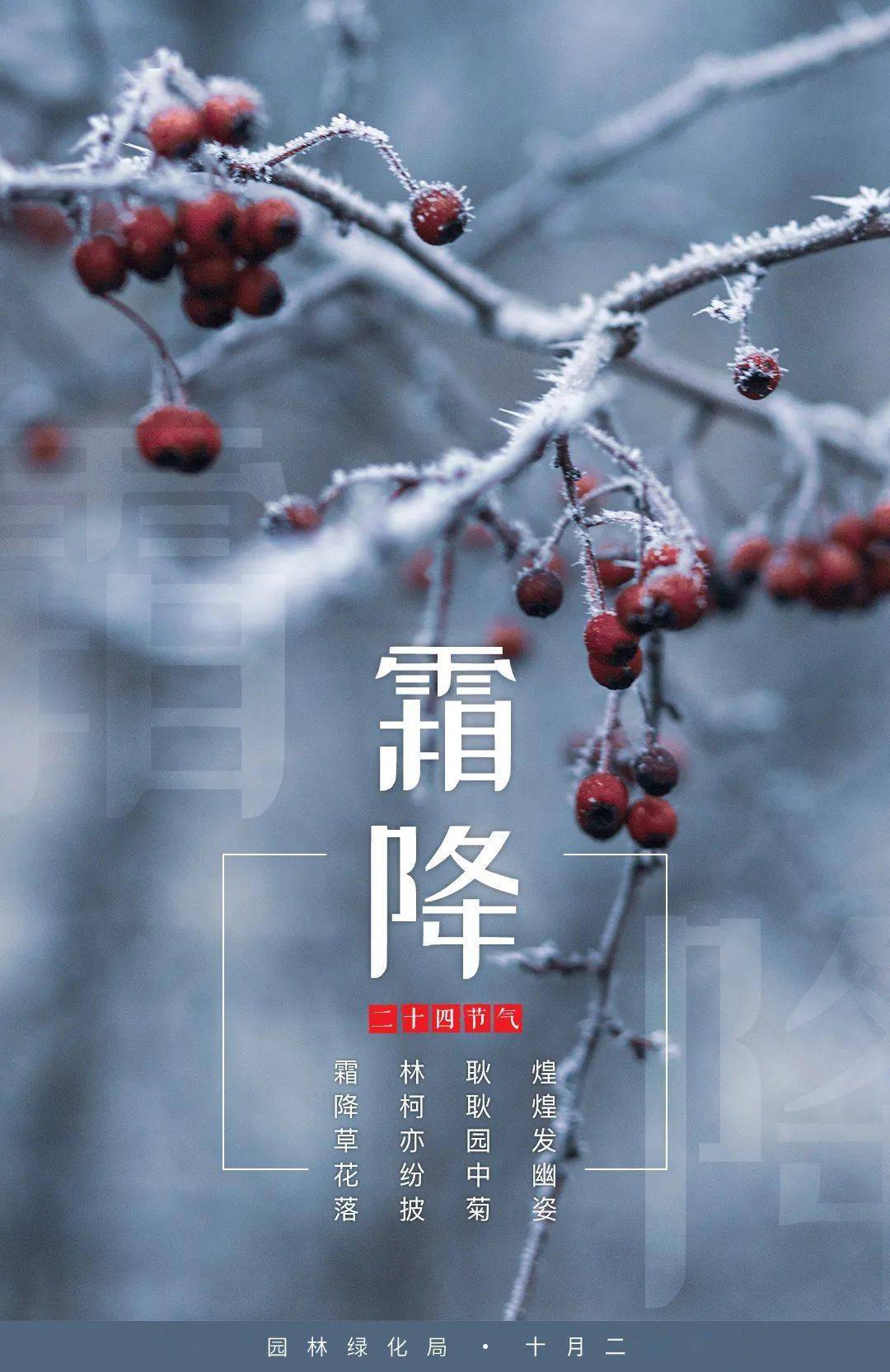 霜降寒意重,秋深多加衣