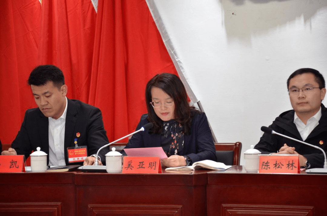 基层团讯共青团江都区浦头镇第十七次代表大会顺利召开