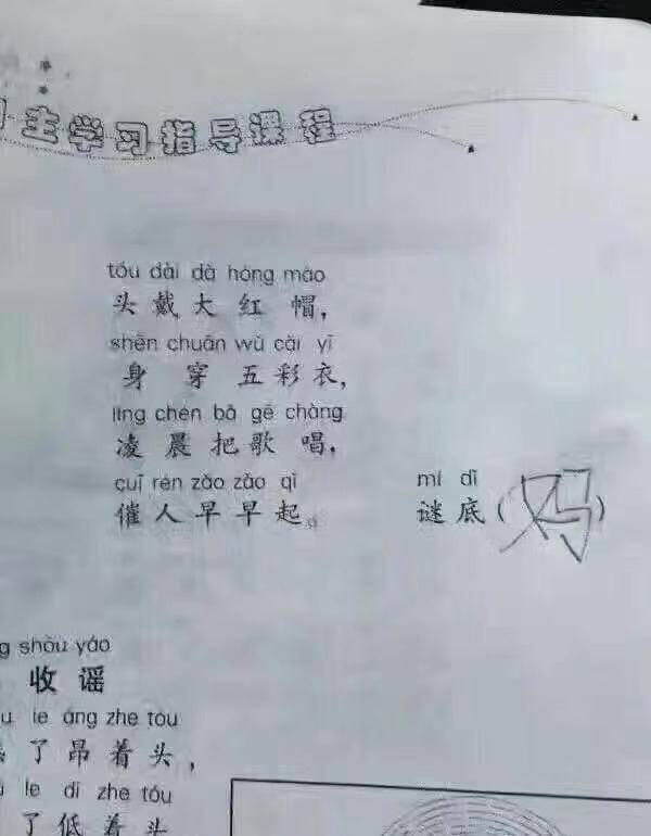 作业|作业能有多离谱？老师：我要窒息了