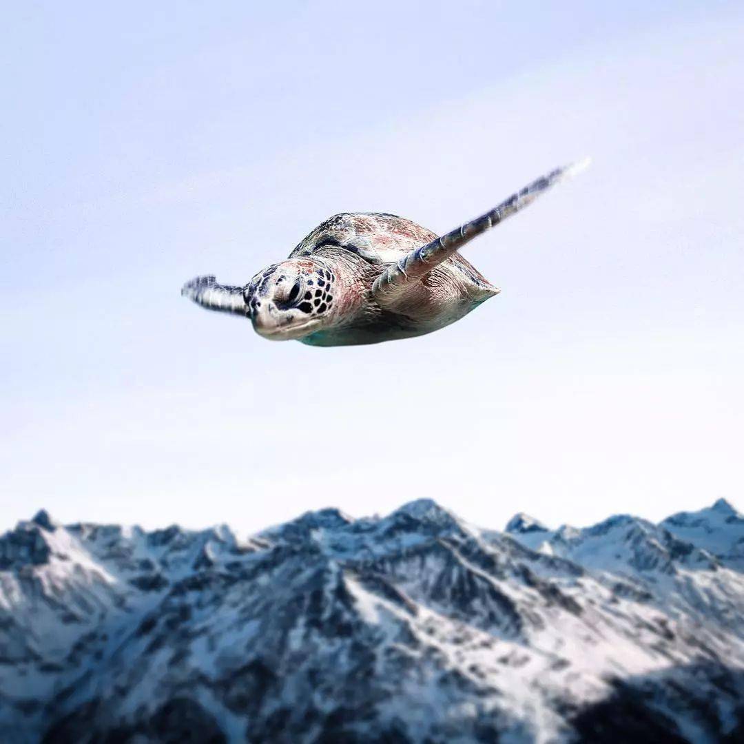 ps修图合成大神创意脑洞绝了