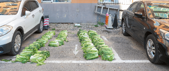 博士偷菜被抓,5次共计46.5元,还有"前科"