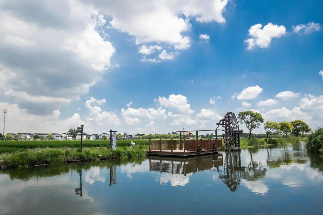 大新镇拧紧发条再发力让文明成为最亮丽的底色