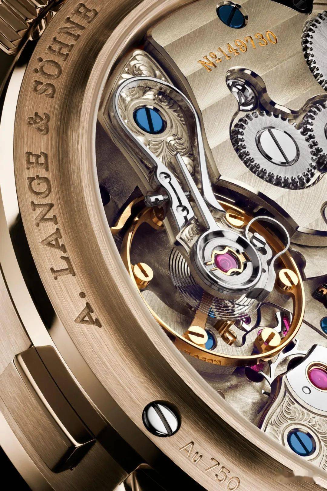 �ʸ�èͷӥ������&amp;amp;��һ����۽�Lumenҹ�⡰èͷӥ��