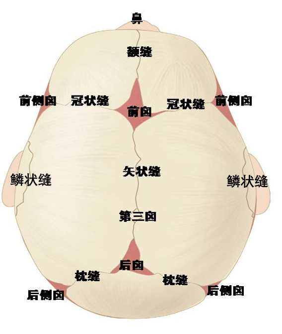 【热点】首儿所神经外科成功为"奥特曼"女孩进行颅骨外形重建手术