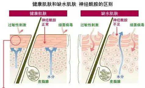 Eyi美肤驿站| 抗老迷雾中，让“修护GPS”为你领航