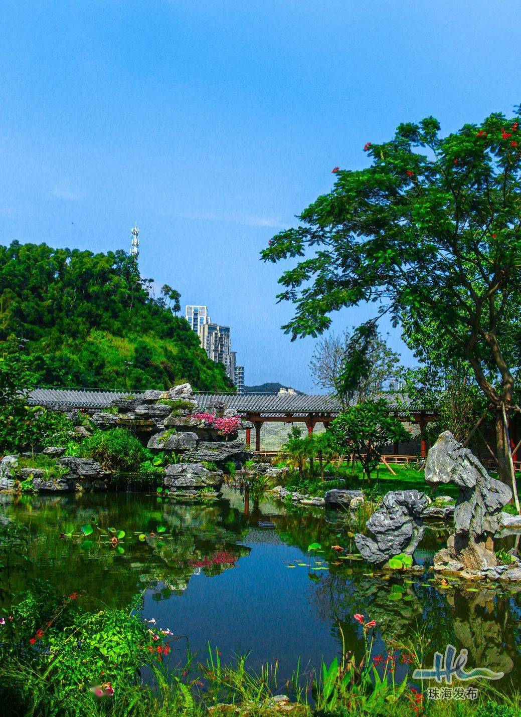 秋日,特别的珠海!