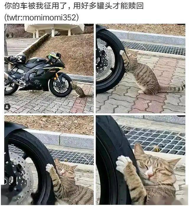 今日份的搞笑图片,诙谐幽默,适合哈哈大笑