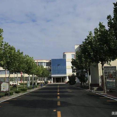 我为群众办实事张庄镇持续提升教育品质办好人民满意教育