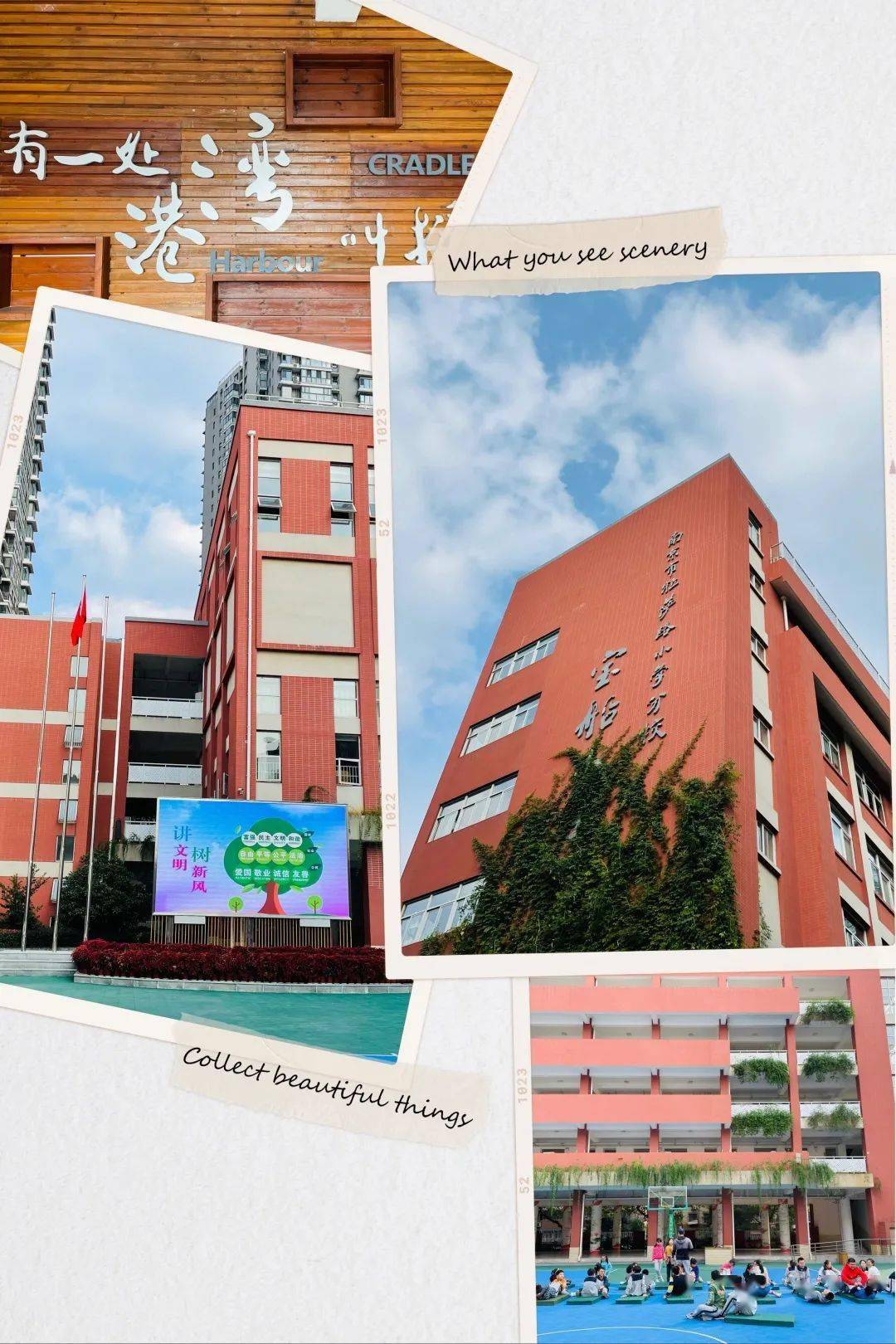 校园新闻萌宠来啦扬子小记者携萌宠走进宝船小学