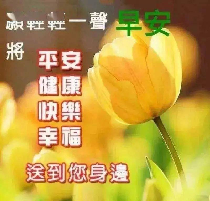 朋友圈很好看的早安祝福問候語最美早上好圖片表情帶字