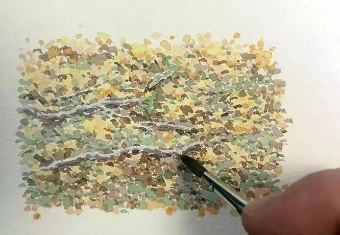 大师教你水彩点画法!