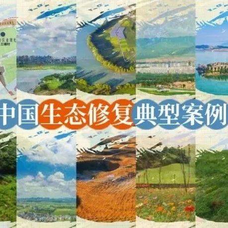 COP15上公布的《中国生态修复典型案例集》,全在这里!_自然