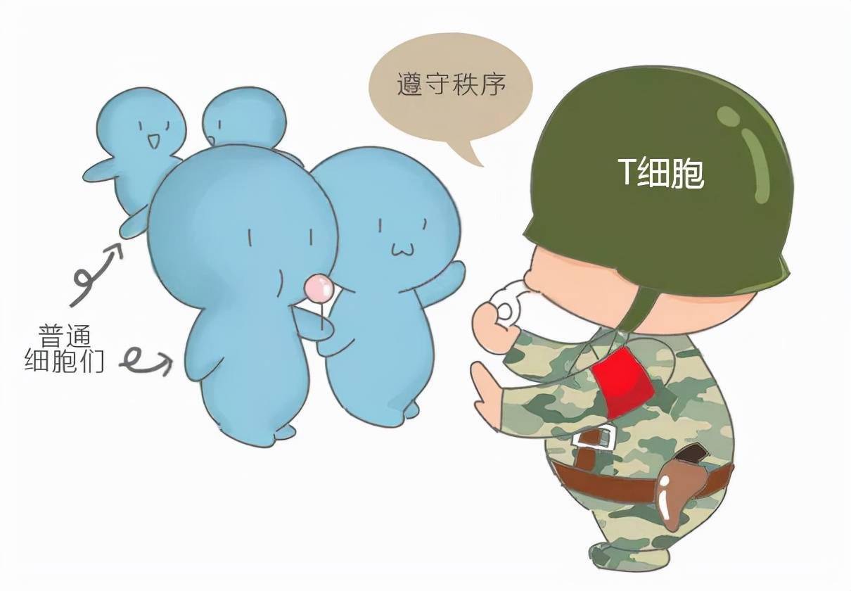 肿瘤免疫治疗的新时代首个国产pd1抑制剂特瑞普利单抗