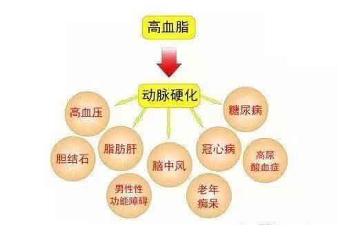 湖北省|注意点！别太“油”了！