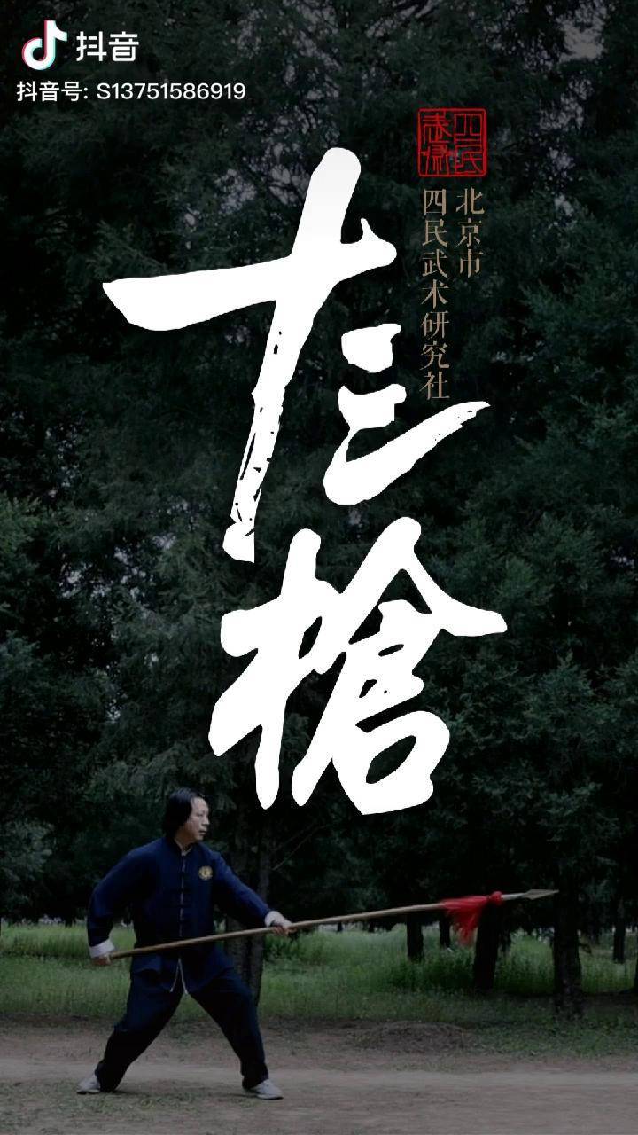 形意十三枪传统武术形意拳武术非凡