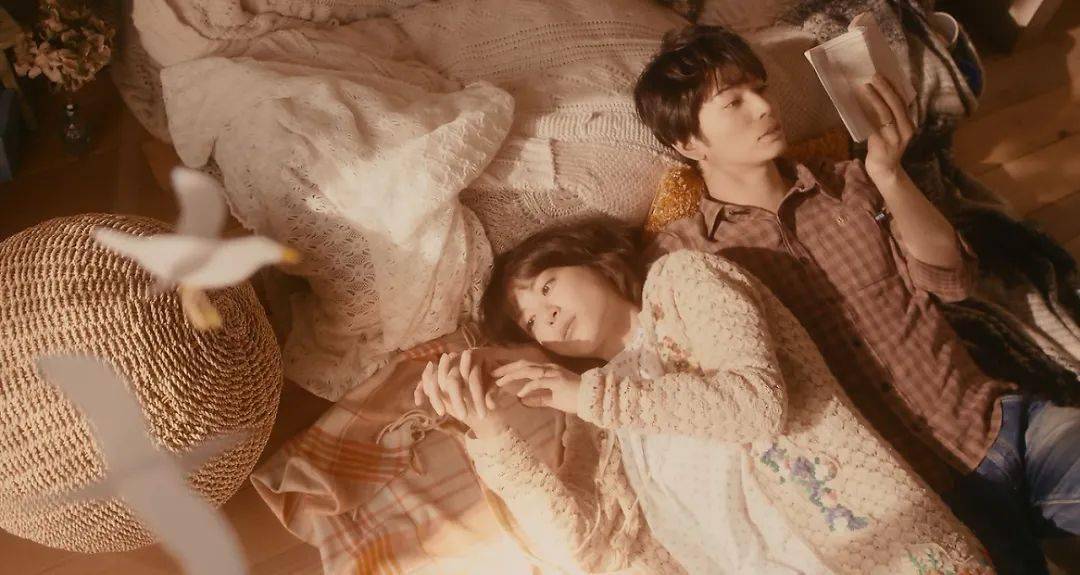 电影节|摊牌了!我爱的不是人