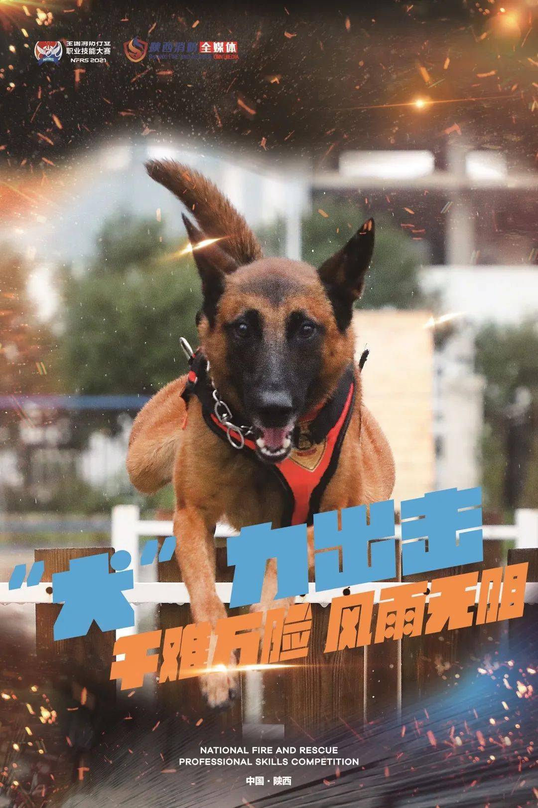 犬力出击铜墙铁壁把 握破 浪突 破他们在一望无际的高空攀爬腾跃