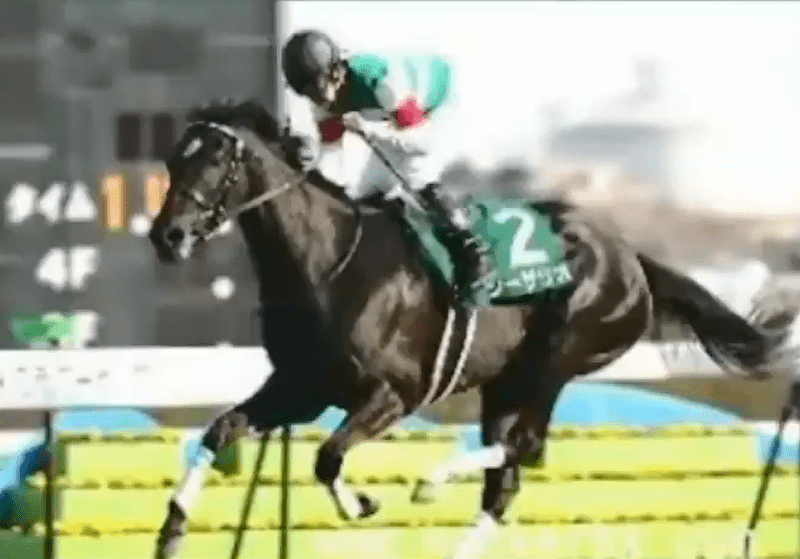 白马|世界最强，马中妲己！日本一本白马写真力压明星夺得销售榜第三名？看完后我理解了…