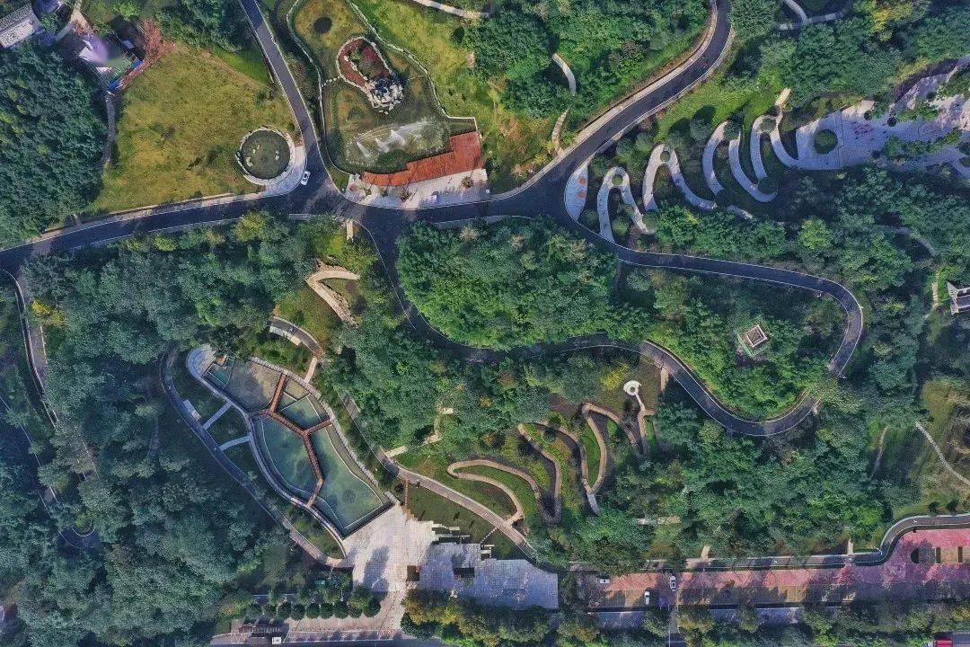 重庆龙洲公园图片