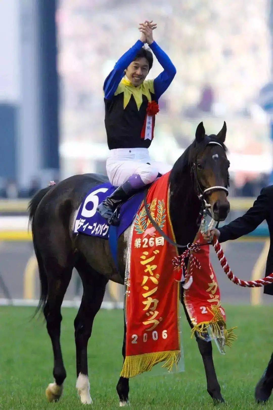 白马|世界最强，马中妲己！日本一本白马写真力压明星夺得销售榜第三名？看完后我理解了…