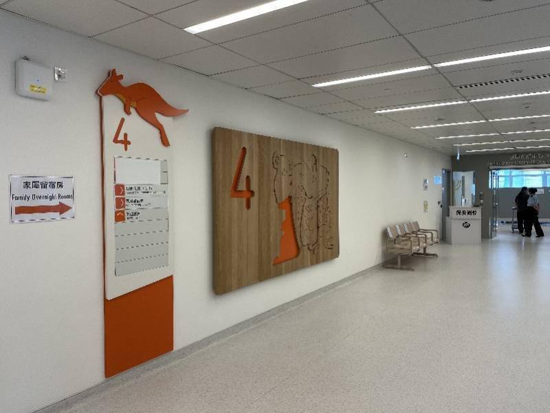 动物香港有家最不像医院的医院得奖无数，连画墙上的动物都得微笑