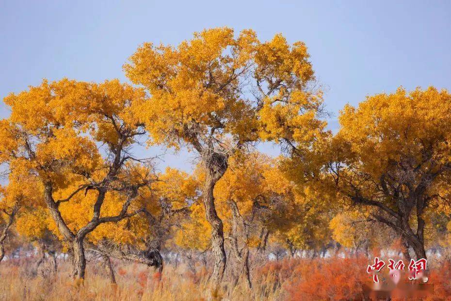贺若弼|一个人开始走大运的4个征兆