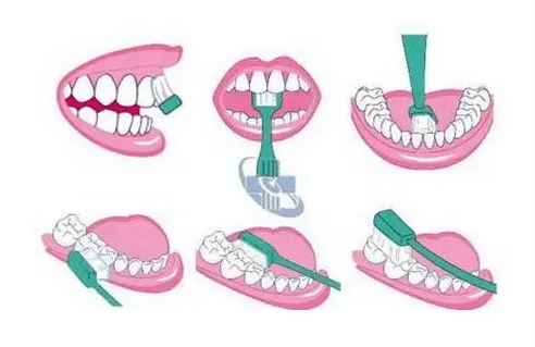 因为|先刷牙还是先吃早餐?看完你就知道了!