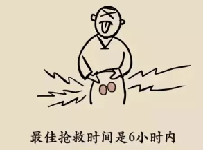 胡晓辉介绍,如果发生睾丸扭转,最好的治疗方法就是进行手术.