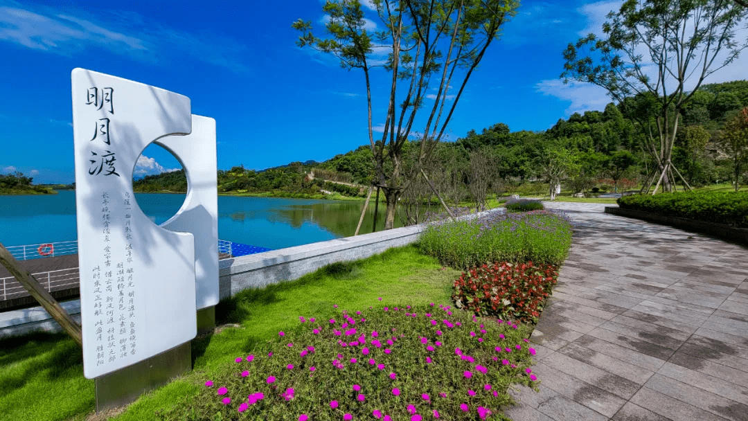 周末游渝北粉黛古镇湖景龙兴秋天的浪漫全给你