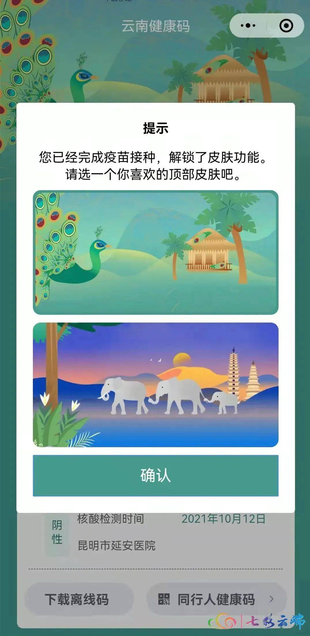 绿孔雀 一屏展示双码！解锁皮肤功能！云南健康码上新啦~~