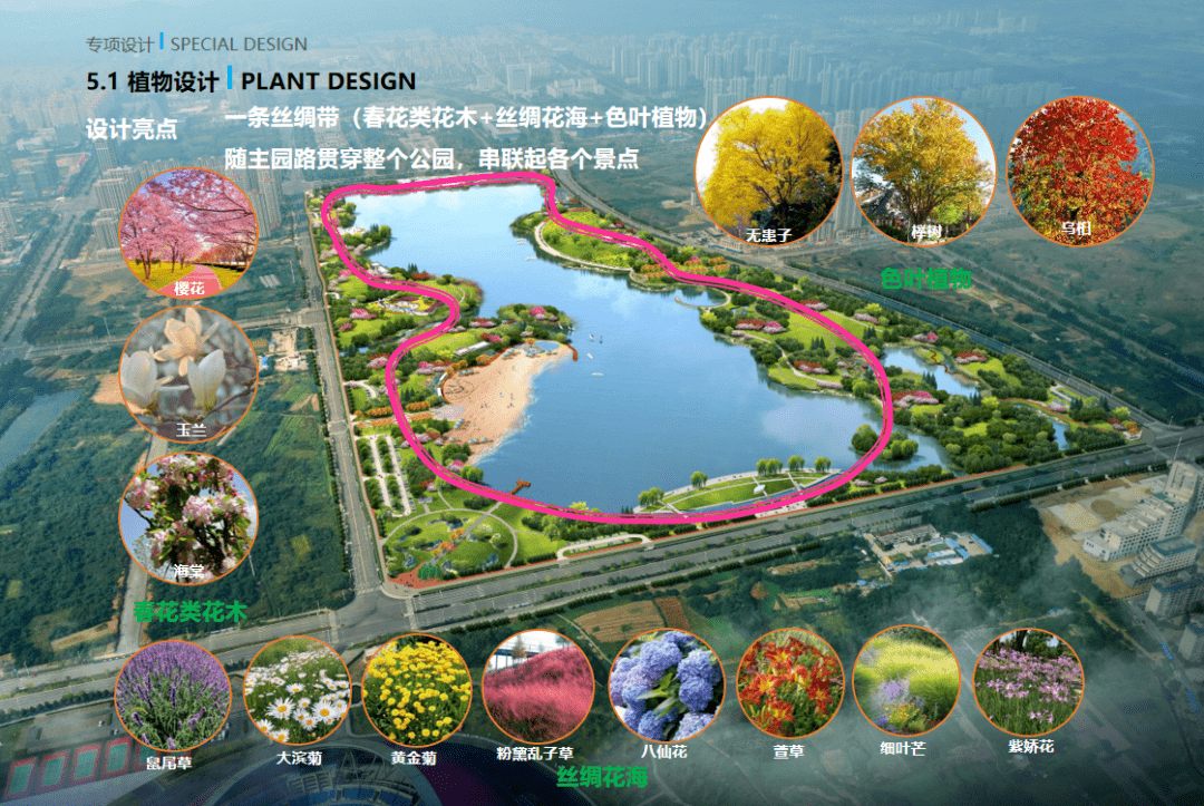 淮南谢家集区规划公园图片