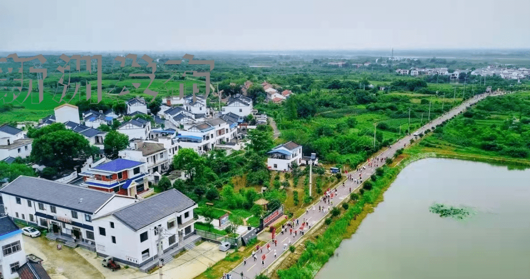 我们这五年仓埠街建设国家级田园综合体打造长江新区生态客厅