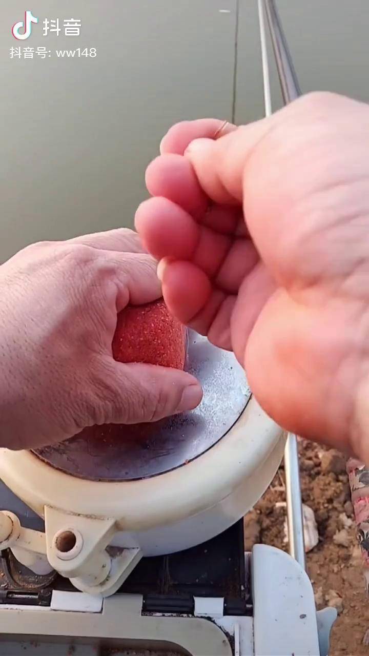 今天用拉饵钓鱼