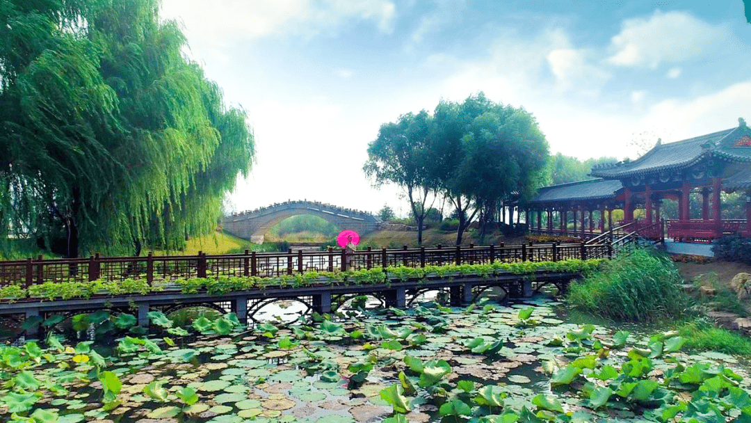 泰山西湖景區音樂噴泉即將停噴維護!