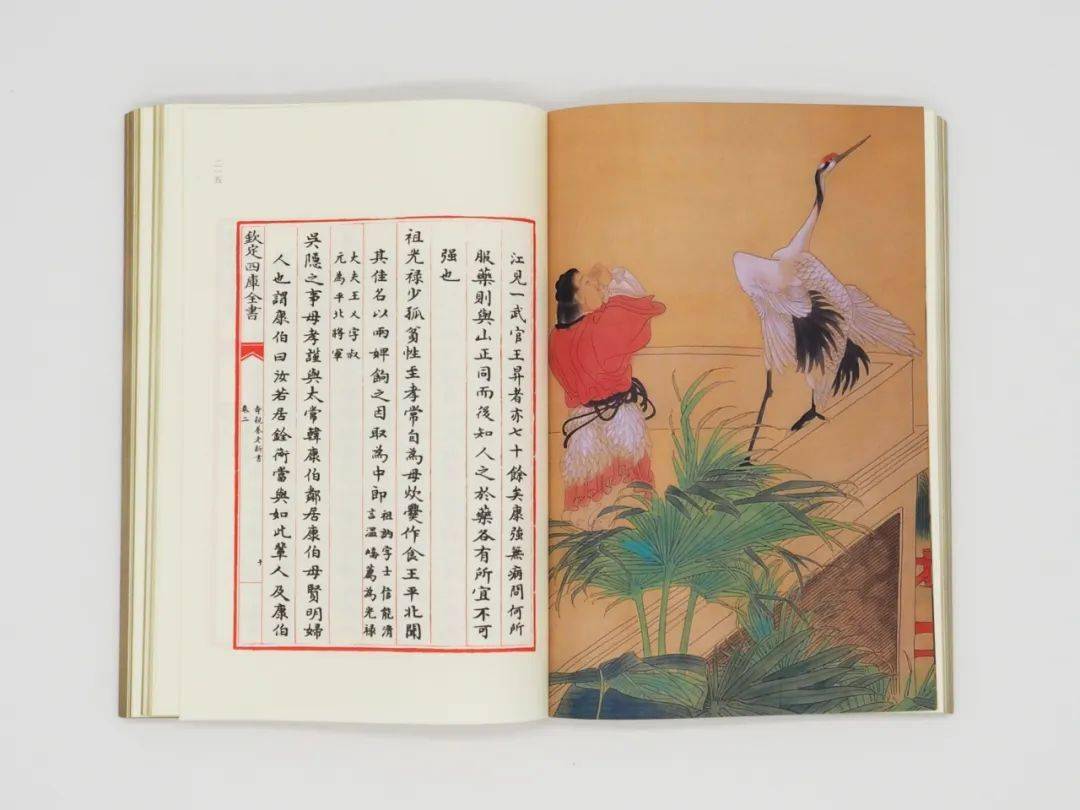 竹谱|“无肉令人瘦，无竹使人俗” | 荐书《竹谱》